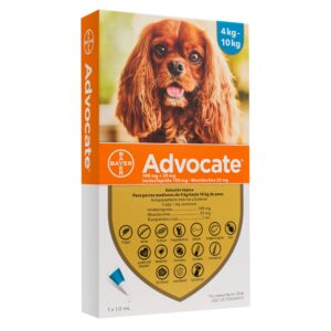 Advocate Perro