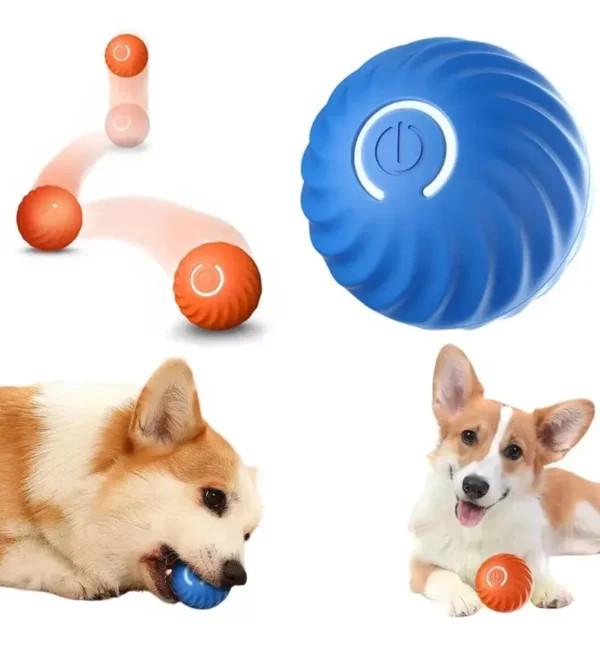 Pelota gravitacional para Perro